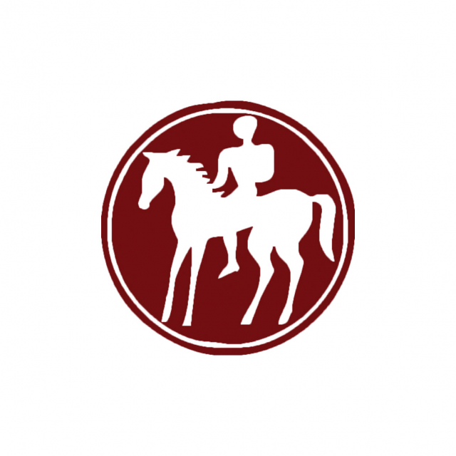 Svatomartinská husa & mladé víno