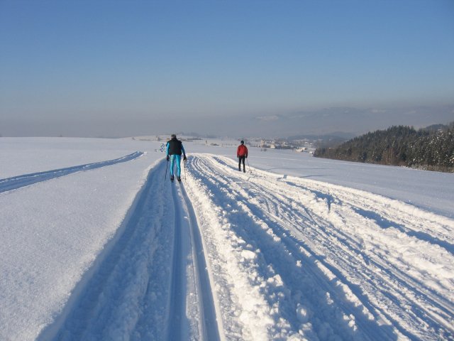 aktivity v okolí